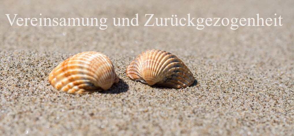 Muscheln